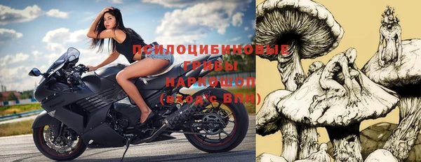 спиды Алзамай