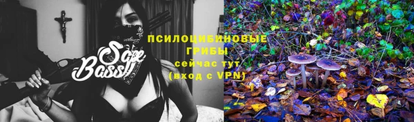 спиды Алзамай