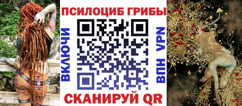 продажа наркотиков  Новороссийск  Галлюциногенные грибы Cubensis 