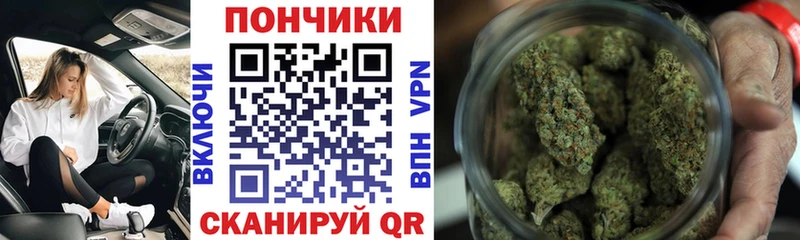 дарнет шоп Новороссийск Бошки марихуана планчик